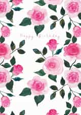 Pink Roses - Garden Roses - Happy Birthday - Watercolour Roses - Blush Pink Rose created by Paint to Paper Designs