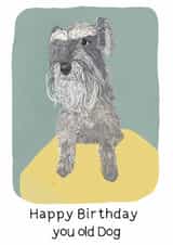 Happy Birthday pretty card created by Holly & Bud