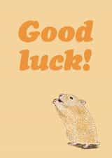 Praying Hamster Good Luck Card created by Martina Scott