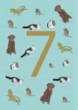 Pets and animals 7th birthday card created by Urban Collie