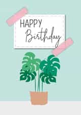 Monstera Swiss Cheese Plant Birthday Card created by Diary of a Craft Girl
