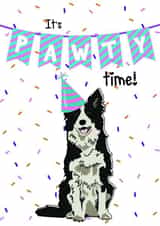 Cute Dog Border Collie Pawty Time Unisex Birthday Card for friends or family created by Toff London