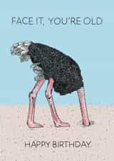 Face It You're Old - Ostrich Birthday Card created by Martina Scott
