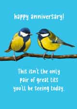 Cheeky Blue Tits Pun Anniversary Card - This Isn't The Only Pair Of Great Tits You'll Be Seeing Today created by Sassy Sarah