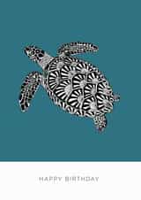 Arty Birthday Card - Turtle - Sealife - Shells created by Bird