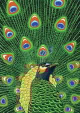 Peacock Greetings Card created by Bird
