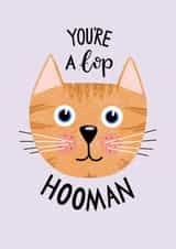 You're a Top Human cat card created by Leaf Lane Studio