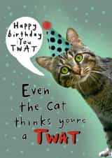 Funny Happy Birthday Twat Card created by Lucy and Lolly