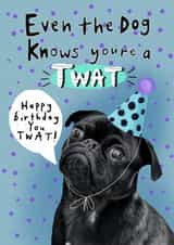 Happy Birthday Twat Dog card created by Lucy and Lolly
