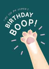 Time for My Human's Birthday Boop! created by Studio Mads