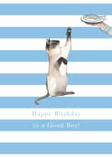 Siamese Cat Birthday Card created by Paper Maven