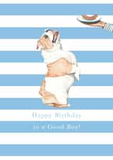 English Bulldog Birthday Card - Birthday Boy created by Paper Maven