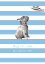 French Bulldog Birthday Card - Birthday Boy created by Paper Maven