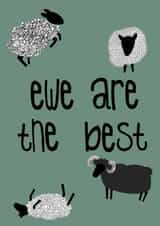Ewe Are the Best created by Miasma