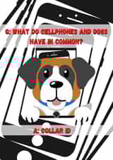 Cellphones and dogs. A match made in comedy heaven! created by OMGitsDan