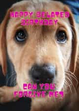 Belated birthday wishes for a dog loving friend. created by OMGitsDan