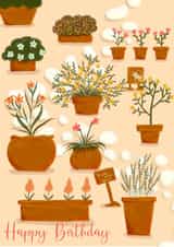 Happy Birthday Plant Pots created by Lili's Papers Co.