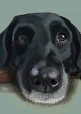 Black Labrador created by Higgledy Ink Illustration