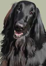 Flat Coat Retriever created by Higgledy Ink Illustration