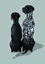 Pointers created by Higgledy Ink Illustration