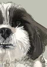 Shih Tzu  Card 1000 created by Higgledy Ink Illustration