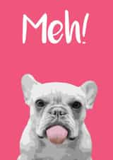 Meh! created by devoncow graphic design