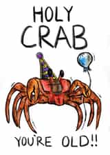 Holy Crab You’re Old! created by AvyTabby Designs