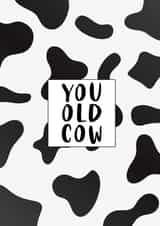 Rude birthday card: You old cow created by Prints With Personality