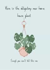 Obligatory New Home House Plant created by Hare and Bear Design