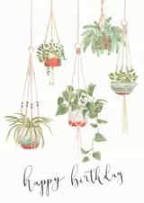 Classic Birthday Card - House Plants created by Sage and Hart