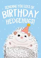 Birthday Hedgehugs created by Wild Card