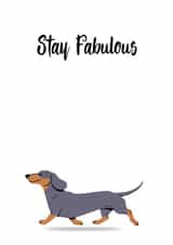Stay Fabulous  created by Sean Ashton