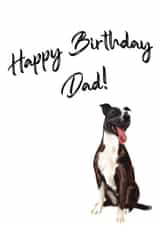 Staffy Dog Birthday Card for Dad! created by Samantha Hart
