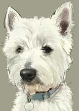 West Highland Terrier Card  created by Higgledy Ink Illustration