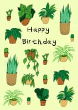 Happy Plant Birthday created by Helen Ridley Illustration