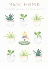 New Home means more room for plants! created by Carina Roberts