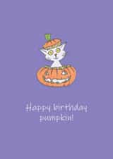 Happy Birthday Pumpkin - Halloween cat created by Simon Perrins