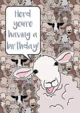 Flock of Sheep Funny Birthday Card created by Lisa Crisafi