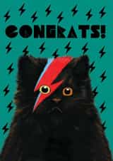 Congratulations Black Cat with Meowie Bolt created by @ChildstarSamantha