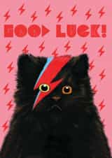 Good Luck Meowie Card created by @ChildstarSamantha