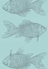 Fish card for all celebrations created by Slades fish 