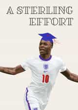 A Sterling Effort created by Carde Diem