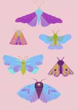 Arty Birthday/Just Because Card - Beautiful Pastel Moths created by Anna 