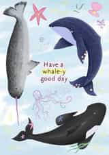 Whale Card created by Chloe Rolfe