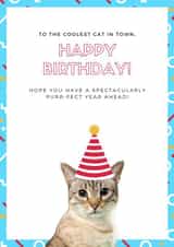 Cat Birthday Card created by Little Owl Designs Co