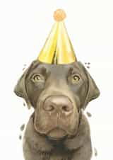 Chocolate Labrador Birthday Card created by Robert James Hull