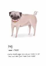 Pug Dictionary Definition funny card created by Vivi Lake
