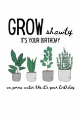 Grow Shawty, Pot Plants Birthday Card created by Kristin