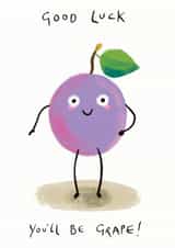 Good Luck, you'll be grape created by Chocolate Frog