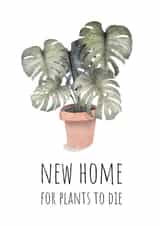 New home for dead plants created by AJ Creations